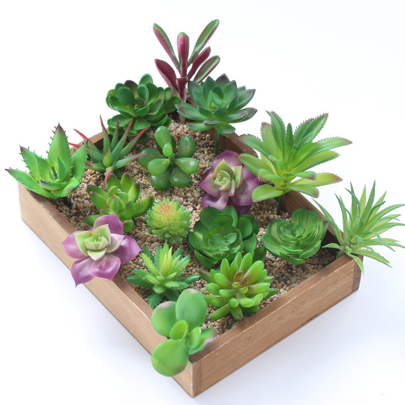 2021 인공 다육 식물 홈 데코 미니 분재 정원 침실 - Plant Desk Mini 리뷰 및 가격