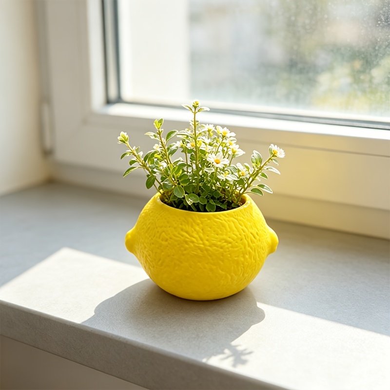 레몬 모양 장식 화분 다육 식물 선인장 미니 식물 데스 - Plant Desk Mini 리뷰 및 가격