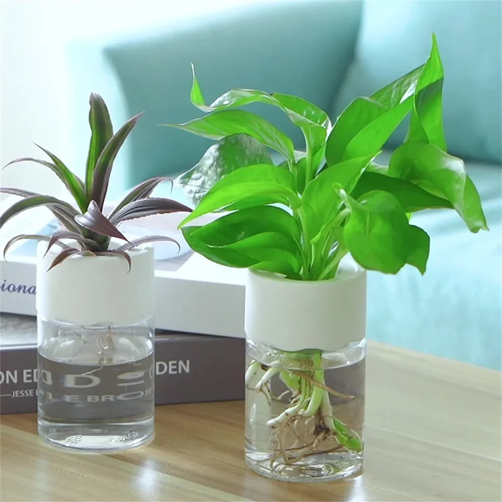 미니 수경 재배 화분 투명 무토양 식물 화병 홈데코 모 - Plant Desk Mini 리뷰 및 가격