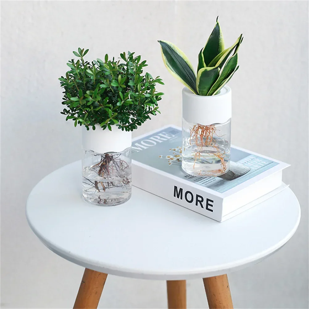 미니 수경 재배 화분 투명 무토양 식물 화병 홈데코 모 - Plant Desk Mini 리뷰 및 가격