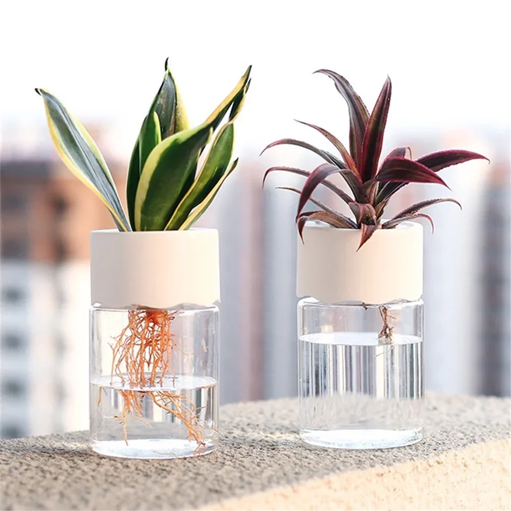 미니 수경 재배 화분 투명 무토양 식물 화병 홈데코 모 - Plant Desk Mini 리뷰 및 가격