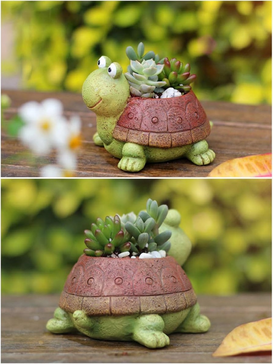 귀여운 거북이 화분 다육 분재 선인장 식물 화분, 여아 - Plant Desk Mini 리뷰 및 가격