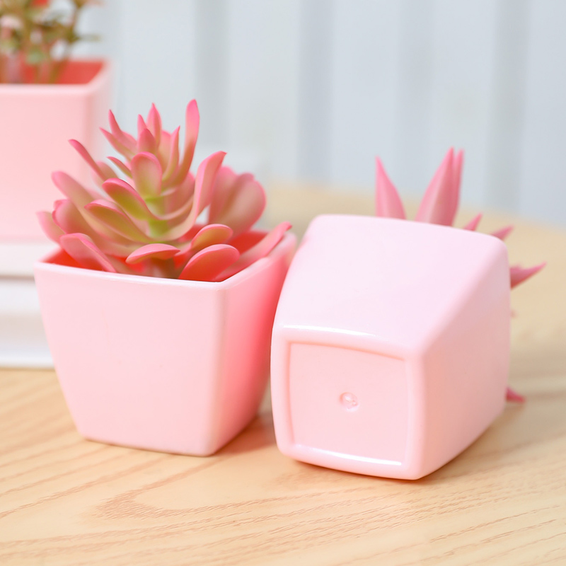 6개 미니 인조 화분 식물: 사무실 책상, 호텔, 레스 - Plant Desk Mini 리뷰 및 가격